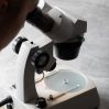 Entwurf und Markteinführung des neuen Gussmodells*SRV 10